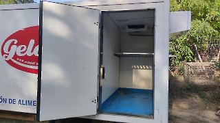 Eine gute Fee spendet für die Hunde in Ungarn