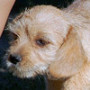 Glücksfelle 2012_30