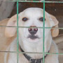 Glücksfelle 2012_64