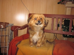 Josefine