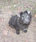 Bumi