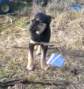 Nora