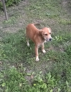 Sally