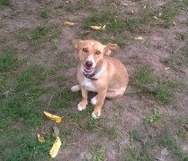 Meggy