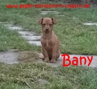 Bany