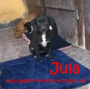 Jula