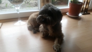 Betty