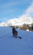 Medy im Skiurlaub_3
