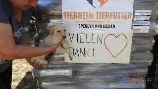 Futterspende von Tierheim Tierfutter im Juli