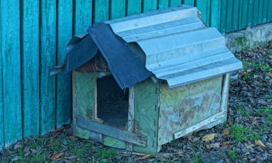 Hundehütte Detailansicht 4 - Datei: hundehütte4.jpg