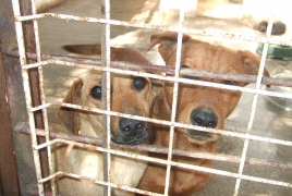 Keila und Ray