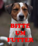 Aufruf für Futterspenden_1