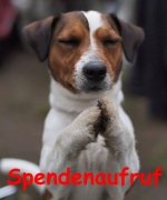 Spendenaufruf