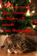 Grüße Weihnachten 2017