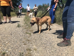 Heute im Tierheim