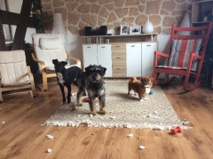 Masol jetzt Lucy zuhause