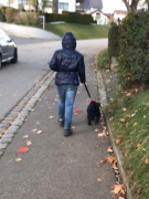 Hunde Zuhause 2019