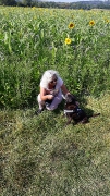 Hunde Zuhause 2020
