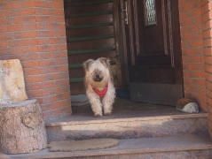 Fredi zuhause