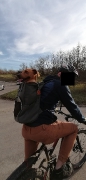 Hunde Zuhause 2021