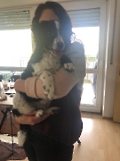 Baro jetzt Eddy zuhause