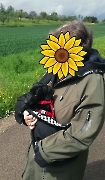 Tomy jetzt Paulchen zuhause_1