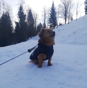 Medy im Skiurlaub_2