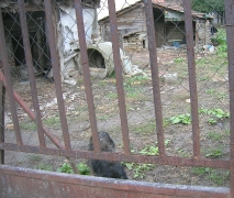 Masols Hundehütte: ein Betonring
