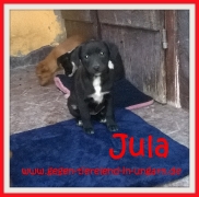 Jula