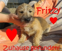 Fritzy hat ein Zuhause!