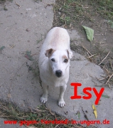 Isy