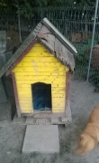 Alte Hundehütte 2