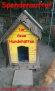 Spendenaufruf für neue Hundehütten