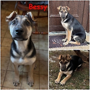 Bessy