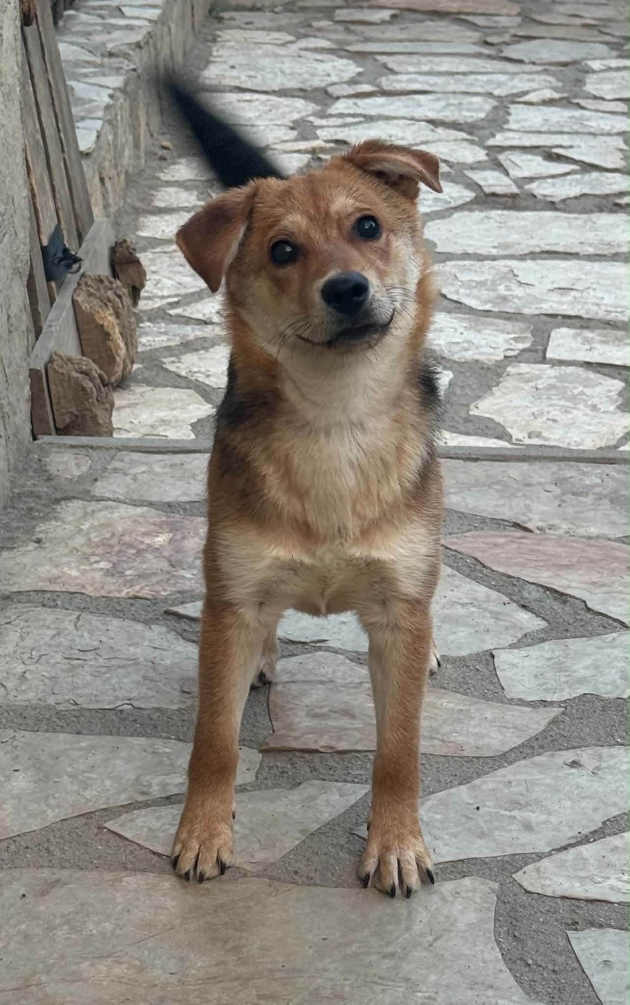 Oscar2